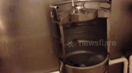 Irish pub uses beer kegs as toilets