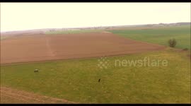 Horse Meets Drone And Wants To Play