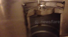 Newsflare Edit - Irish pub uses beer kegs as toilets