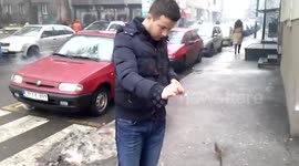 Hungry birds