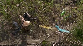 pollution of rivers