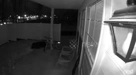 Winter storm Stella timelapse captured in Philadelphia