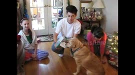 Our dog Baby has a new found skill