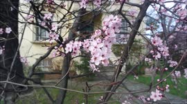 Spring day in london
