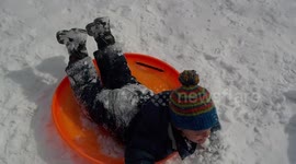 Winter Stella Storm We All Won