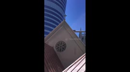 Is he eating the insect?