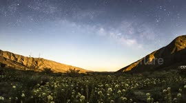 Time Lapse: Milky Way Rises Over Anza-Borrego Desert Wildflower Super Bloom