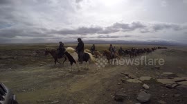 Ranchers herd Icelandic Horses near Haifoss in Iceland