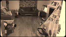 Crazy Horror Cat