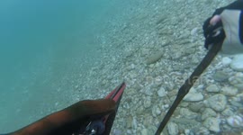 Catching Fish With Bare Hands!