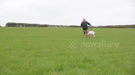 first dog to have life saved using pioneering protective suit