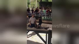 Brave boy, 4, conquers fears by sitting on large alligator's back
