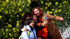 Southern Chinese mall creates impressive floral display