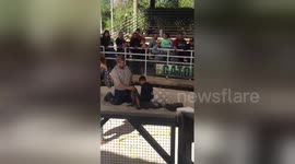Newsflare Edit - Brave boy, 4, conquers fears by sitting on large alligator's back