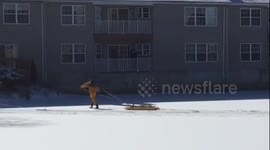 Deer Rescued From Roxbury Pond
