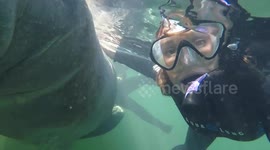 Snorkeler takes selfie with manatee