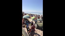 What happens when the sharks come out to swim