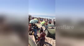 Thousands crammed onto Cape Town beach after sharks spotted close to shore