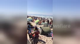 Newsflare Edit - Thousands crammed onto Cape Town beach after sharks spotted close to shore