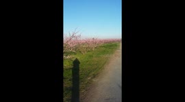 first day of Spring