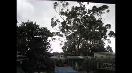 windy day in Umina Beach