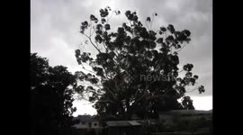 Severe storm Umina Beach 2