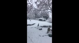 Heavy snowfall hits England's north east