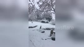 Newsflare Edit - And it's still falling snow @bbcweather @BBCSpringwatch @NorthEastTweets https://t.co/eAhAdmVNst