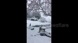 Newsflare Edit - Heavy snowfall hits England's north east