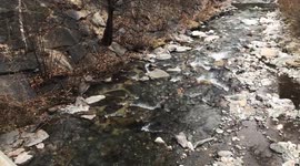 Beautiful creek in the mountains in Italy