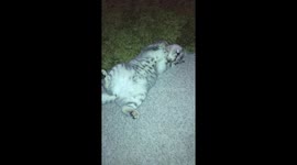 Dead or?