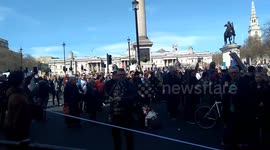 Anti Brexit protest at Trafalgar Square