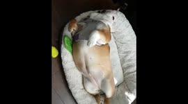 When you want to exercise but you still have your winter body