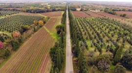 Aerial shot, a road between two cypress raws, in the middle of cultivated fields in Tuscany, Italy, shot with drone, 4K