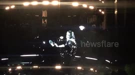 Adele vs Beetle, Auckland NZ