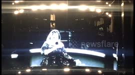 Hilarious moment Adele bitten by beetle during concert