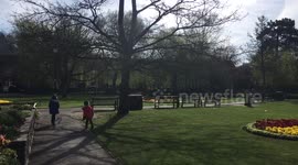 Early Morning View of Abby Gardens Winchester