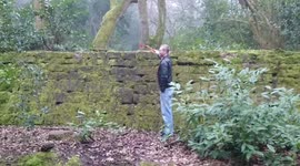 Small dog scales a six foot wall