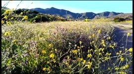 Spring in southern Spain is stunning
