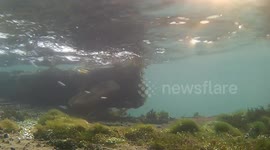 River Una, Bihac, Bosnia and Herzegovina