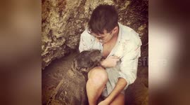 Newsflare Edit - Baby Elephant Seal Cuddles Up With Me - Malibu, California