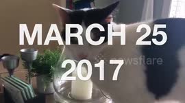 WE'RE LEAVING NORTH CAROLINA  | FRANKIE and EMILY