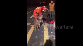 Golden retriever 'thanks' firefighter after being rescued