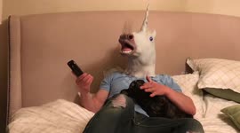 Dad spends whole day wearing a full-head unicorn mask