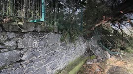 Storm Darwin clean up - Limerick, Ireland