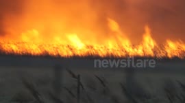 Borth Bogland Fire 14th Feb 2014