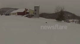 Throw a dog a drone