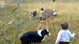 Baby Attacks Deer with Small Stick and Deer Fights Back  Deer is Baby's Best Friend