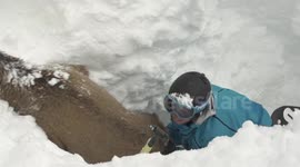 Deer saved by skiers