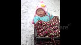 Baby Put in Crate for Winter Walk